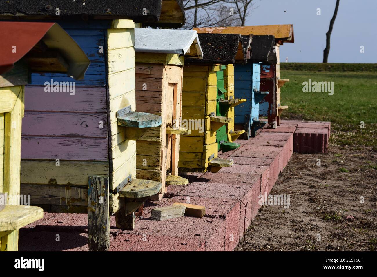 Bunte Bienenstöcke und Bienen auf dem Land. Sonniger Tag. Stockfoto