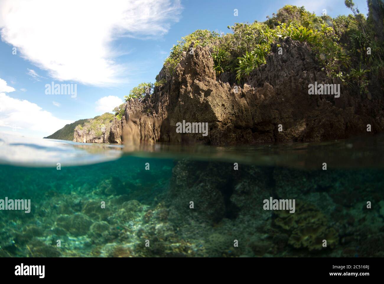 Insel mit Korallen unter Wasser, Potato Point Tauchplatz, Fiabacet Insel, Raja Ampat, West Papua, Indonesien Stockfoto