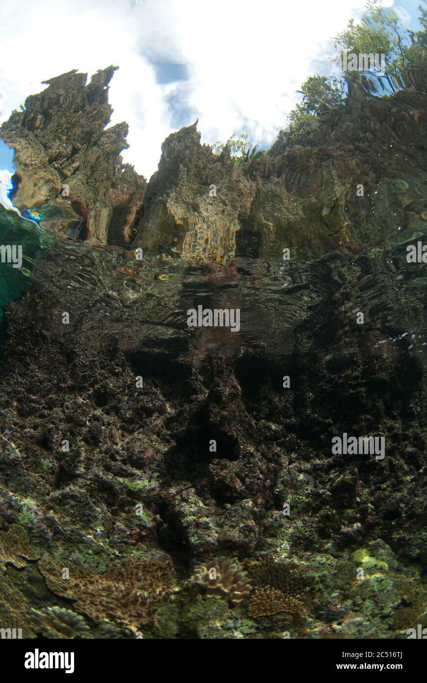 Insel unter Wasser, Potato Point Tauchplatz, Fiabacet Insel, Raja Ampat, West Papua, Indonesien Stockfoto