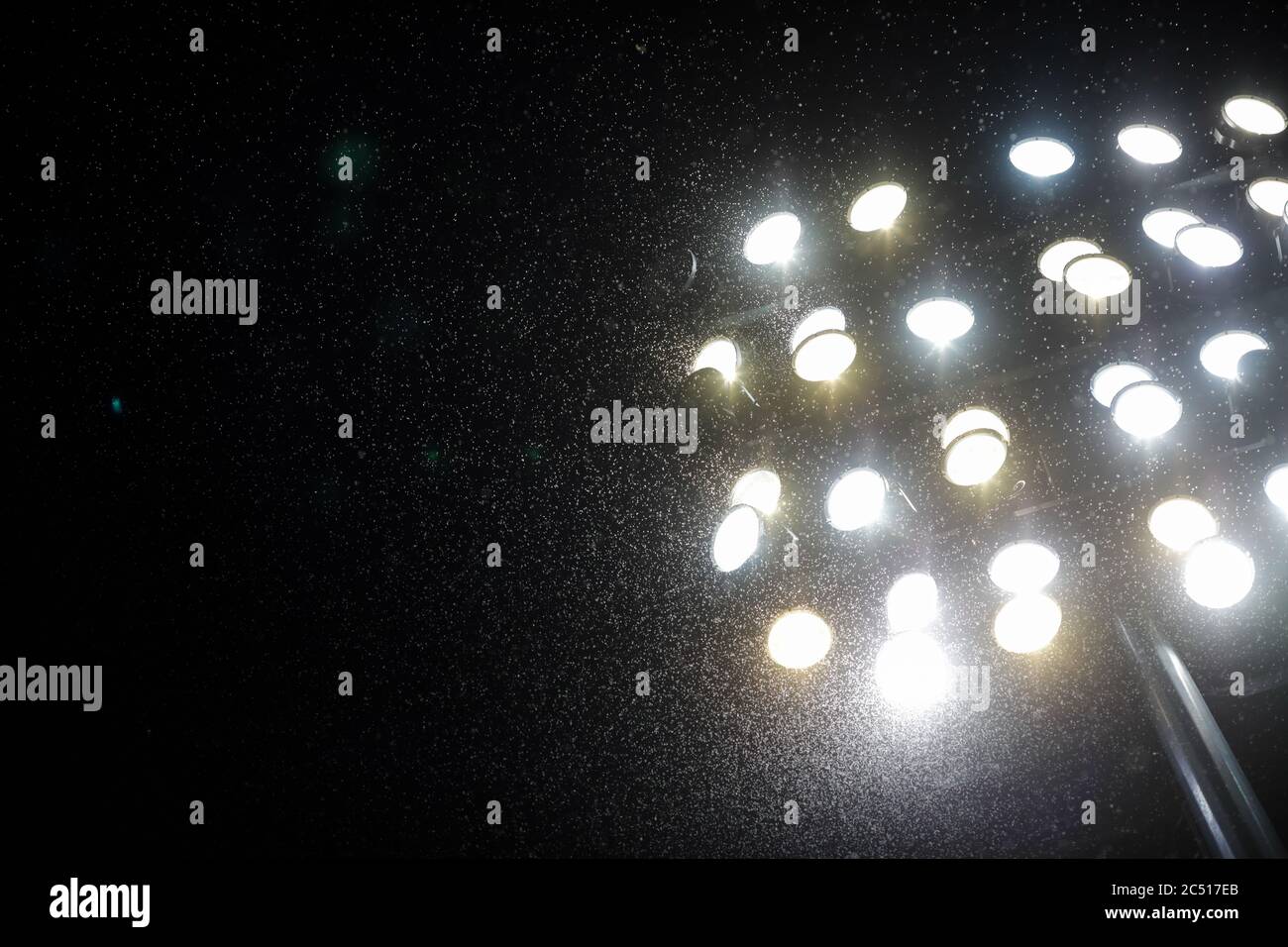 Ein Schwarm von Moskitos und anderen Nachtinsekten fliegen im Licht eines Stadionreflektors in der Nähe eines großen Flusses Stockfoto