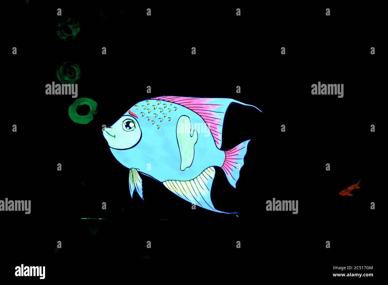 Fluoreszierender blauer und pinker Fisch auf schwarzem Hintergrund Stockfoto
