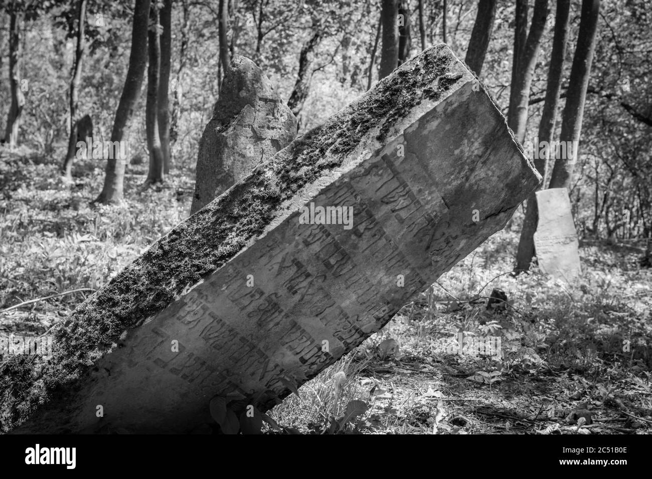 Alte zerstörte jüdischen Friedhof aus dem 18. Jahrhundert in Wola Michowa. Bieszczady Berge, Polen, Europa Stockfoto