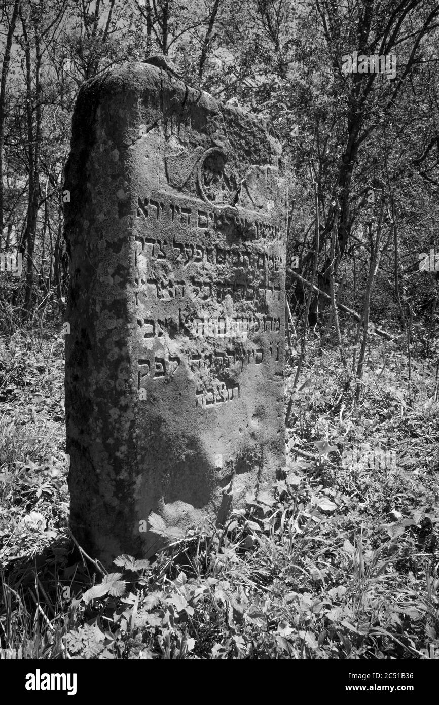 Alte zerstörte jüdischen Friedhof aus dem 18. Jahrhundert in Wola Michowa. Bieszczady Berge, Polen, Europa Stockfoto