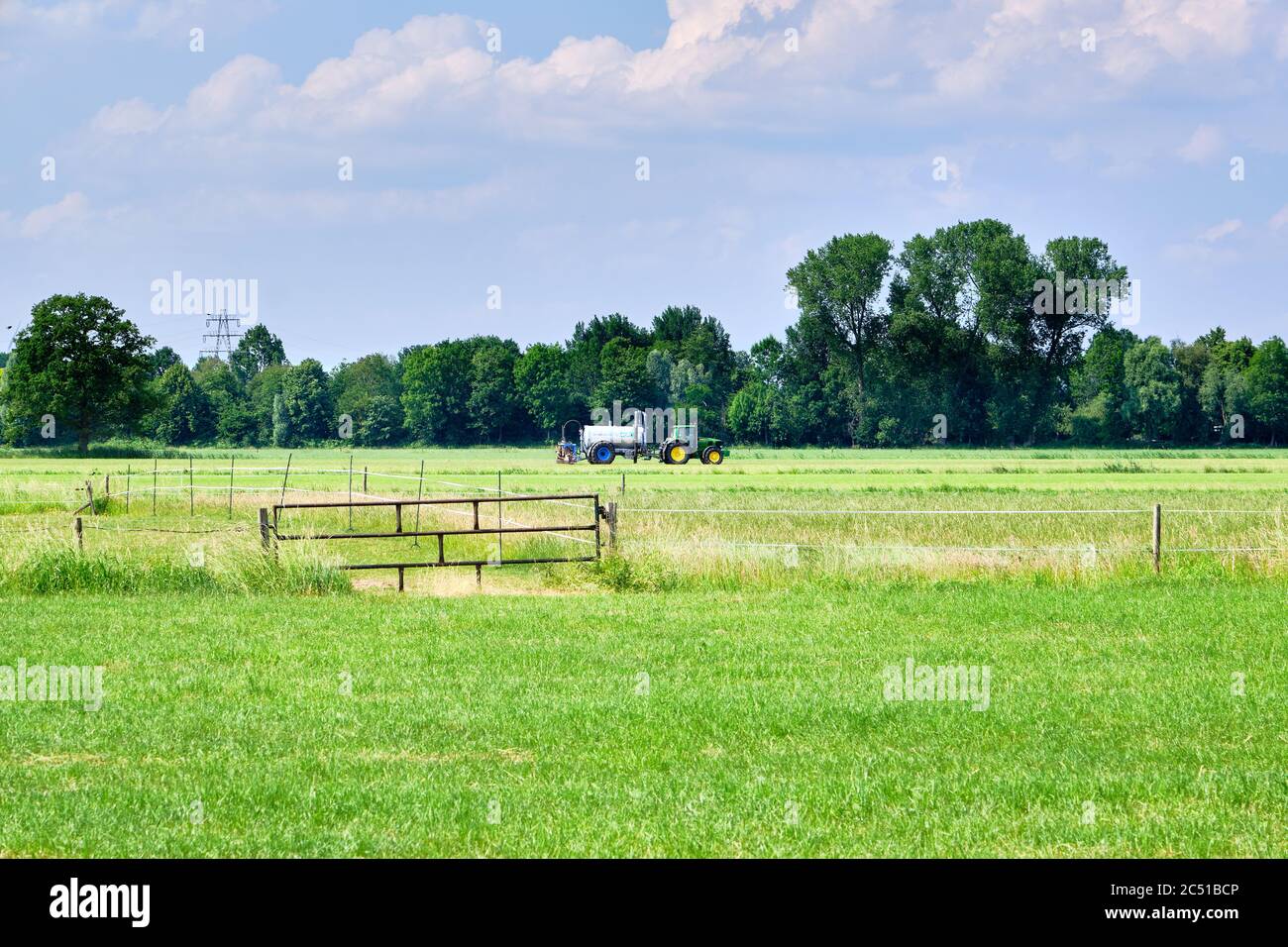 Grüne Wiese, Wiese mit Zäunen und Güllestreuer, Traktor injizieren Gülle in den Boden. Niederlande Stockfoto