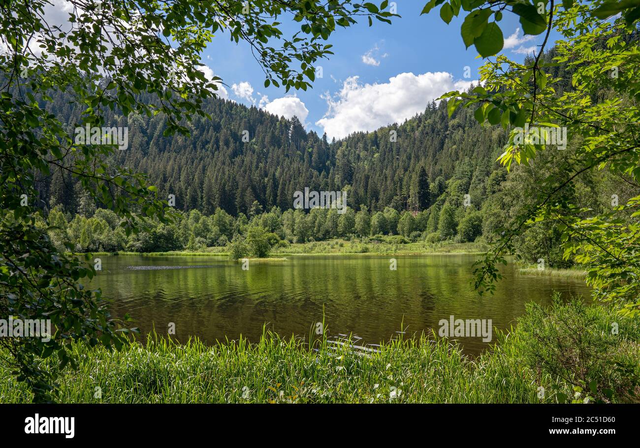 Blick auf den Sankenbachsee bei Baiersbronn, Schwarzwald, Deutschland Stockfoto