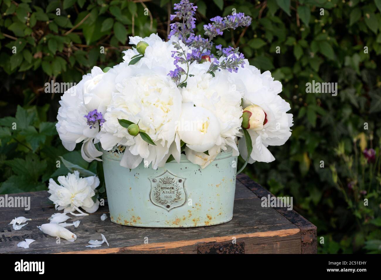 Bouquet von weißen Pfingstrosen Blumen im Vintage-Pflanztopf Stockfoto