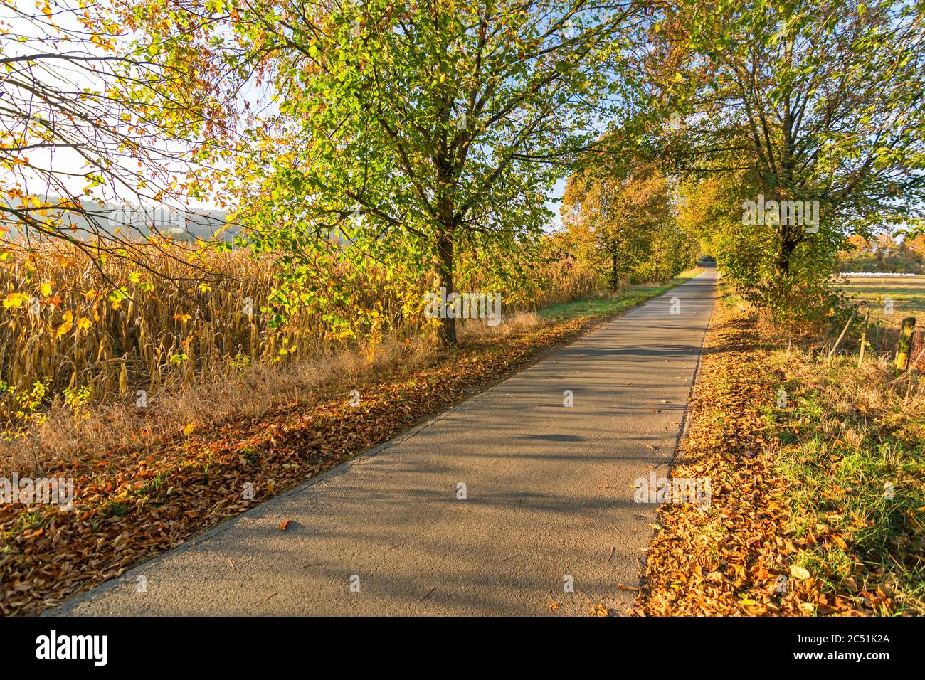 Fußweg oder Radweg in schöner ländlicher, bunter Herbstlandschaft Stockfoto