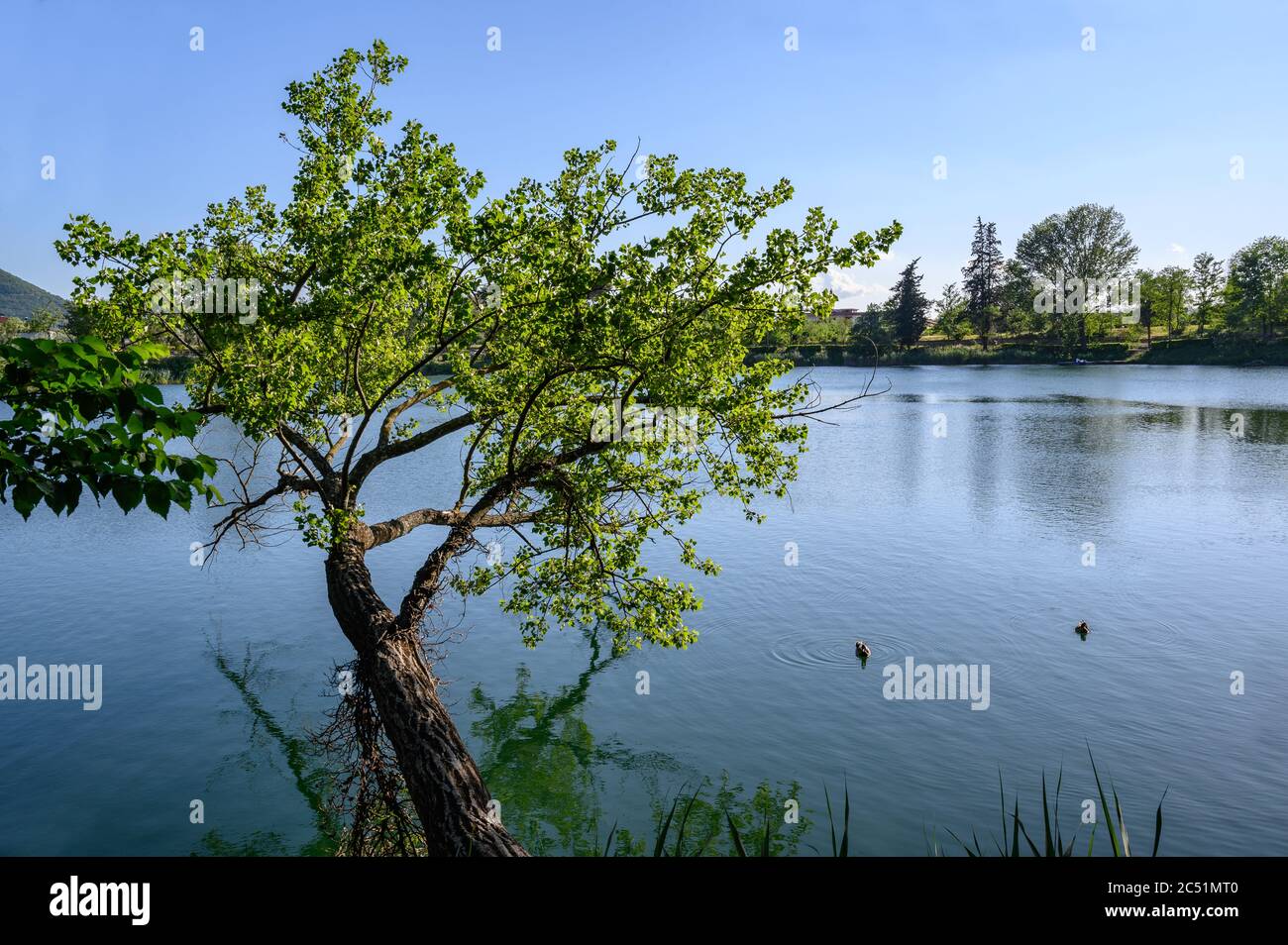 Landseite von Benevento in Italien Stockfoto