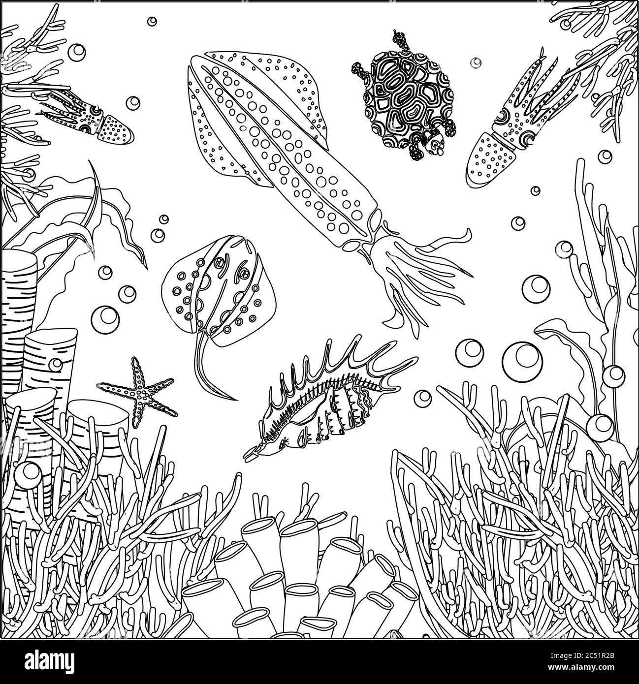 Unterwasser Welt Ausmalbilder. Tintenfisch und Algen. Antistress