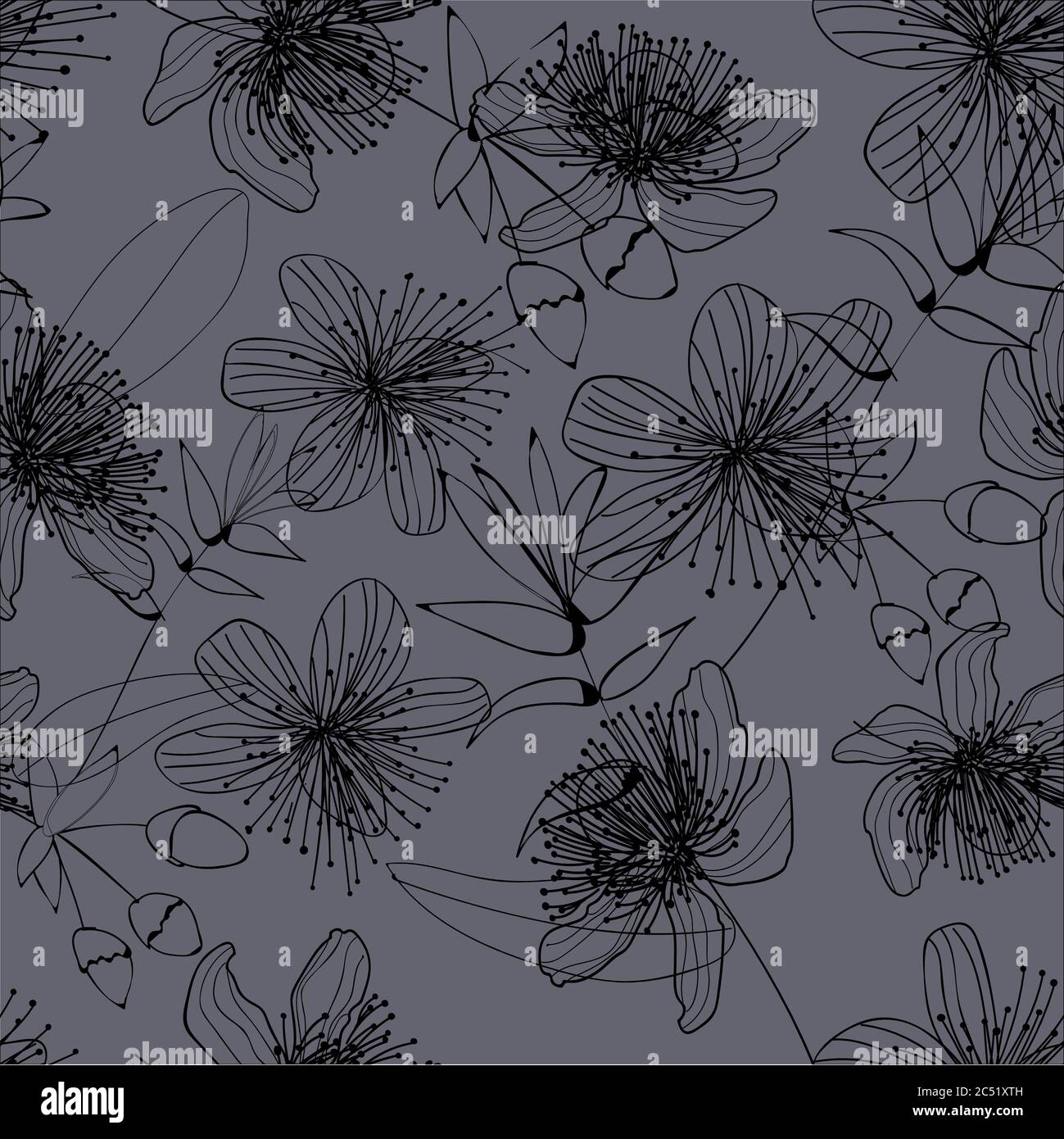 Eleganz SCHWARZE Blumen auf grauem Hintergrund. Die Blüten sind zartes Muster. SPITZE Stock Vektor