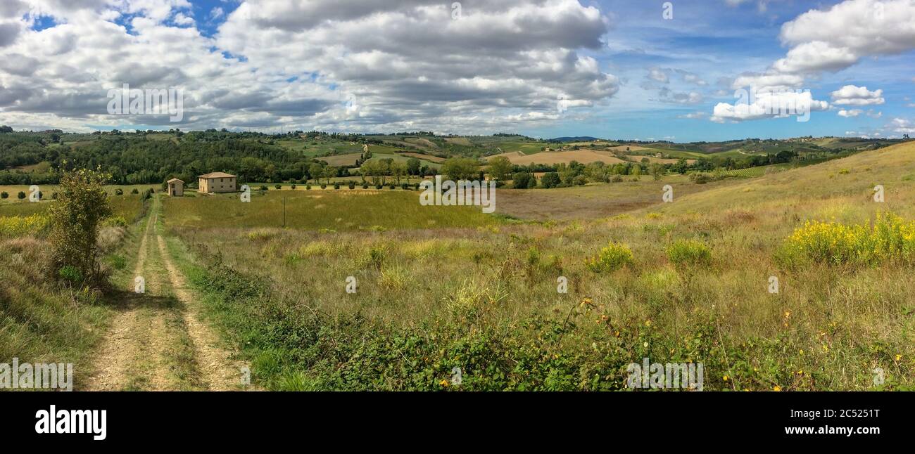 Toskana Landschaft in der Nähe Sienas auf einem Weingut Panoramaaufnahme Stockfoto