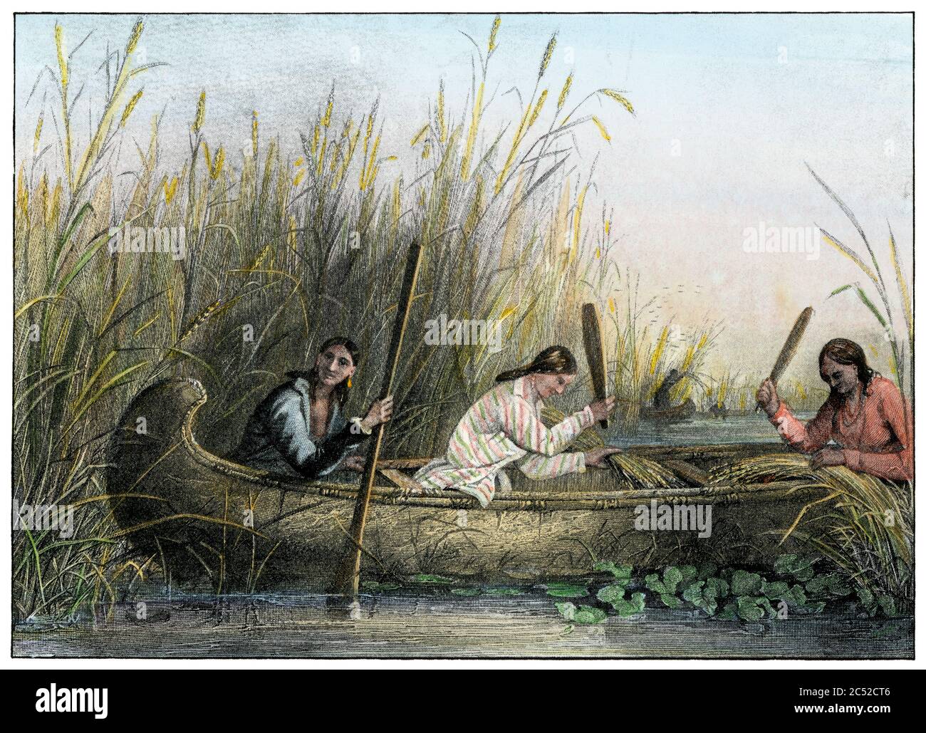 Ojibwa Frauen sammeln wilden Reis. Handkolorierter Halbton einer Seth Eastman Illustration Stockfoto