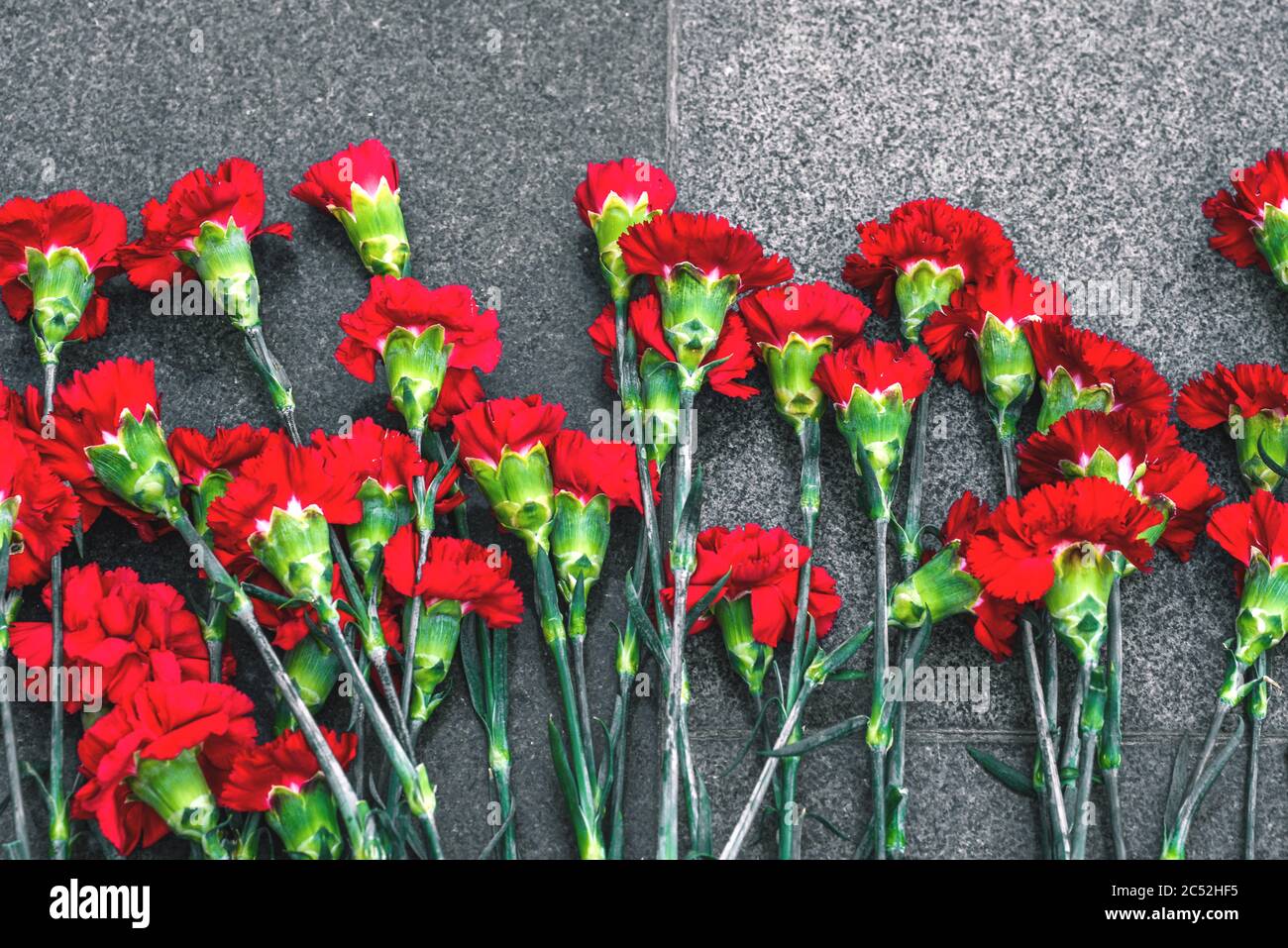 Rote Nelken auf einer Marmorplatte. Symbol der Trauer. Blumen legen Stockfoto