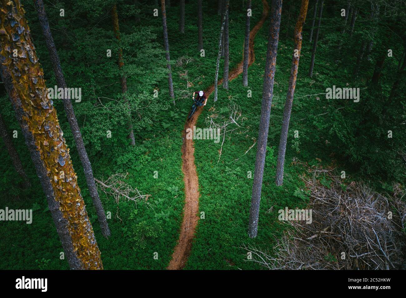 Mann Mountainbiken durch den Wald, Klagenfurt, Kärnten, Österreich Stockfoto