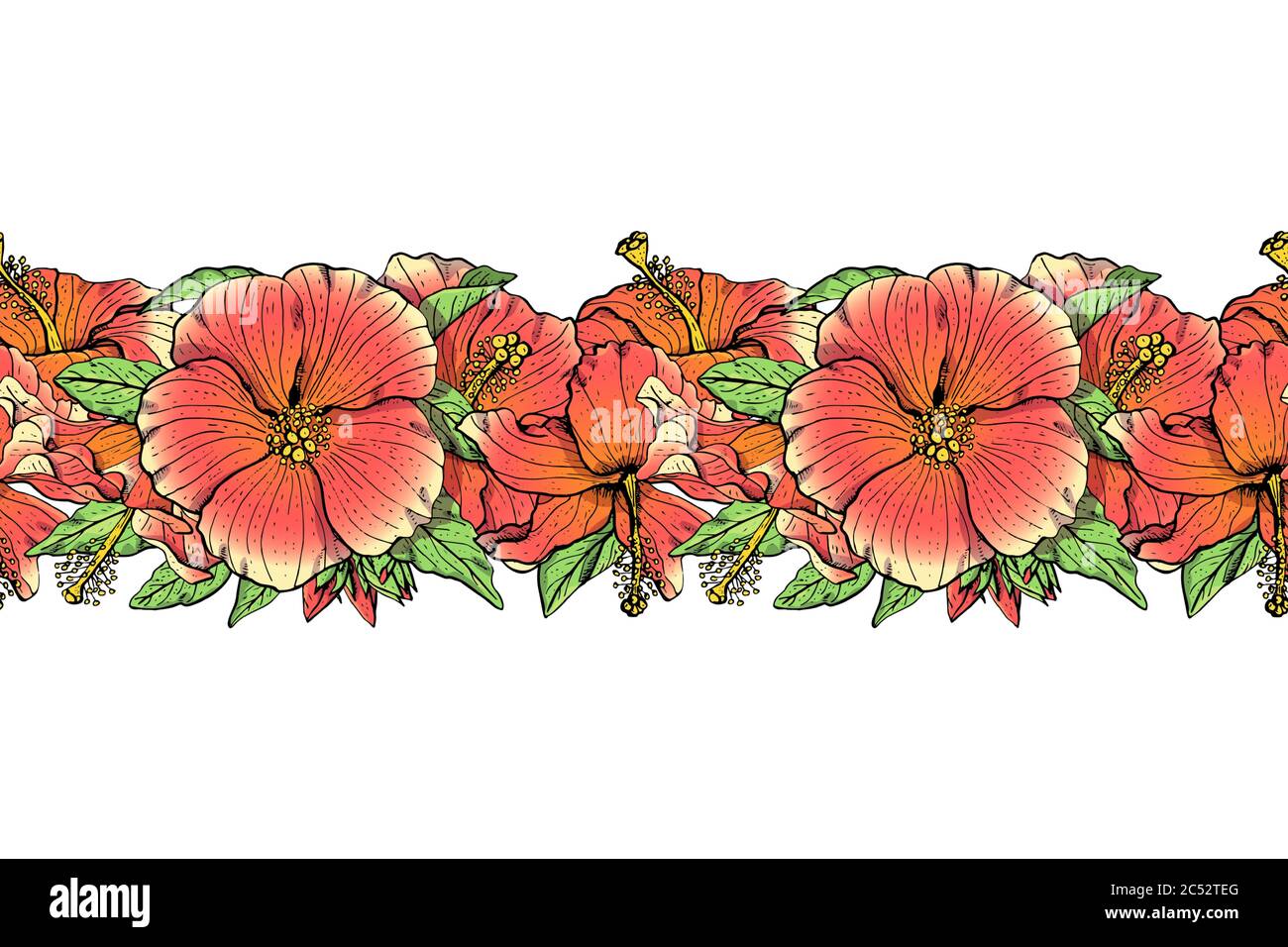 Hand gezeichnet bunte Hibiskus Blumen nahtlose Bruscheblüten. Florale, endlose Ränder. Isoliert auf weißem Hintergrund. Vektor Stock Vektor