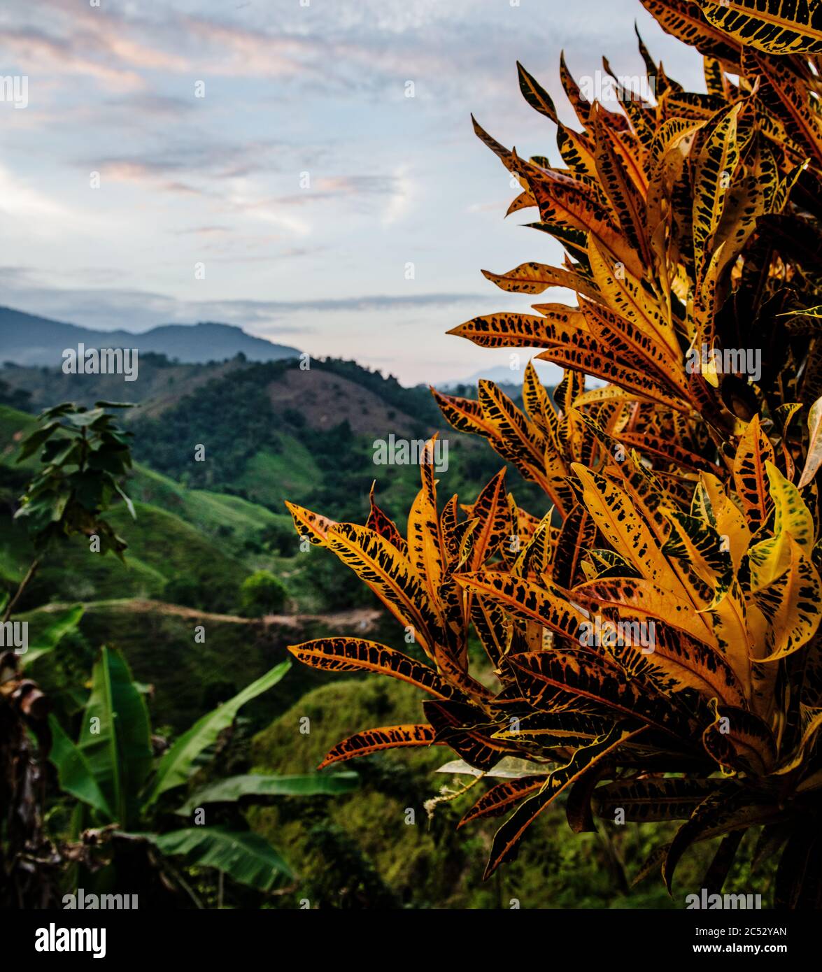 Sierra Nevada Berge, Kolumbien, Südamerika Stockfoto