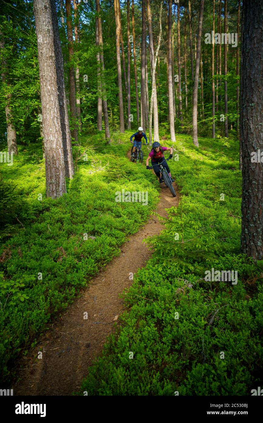 Mann und Frau Mountainbiken durch den Wald, Klagenfurt, Kärnten, Österreich Stockfoto