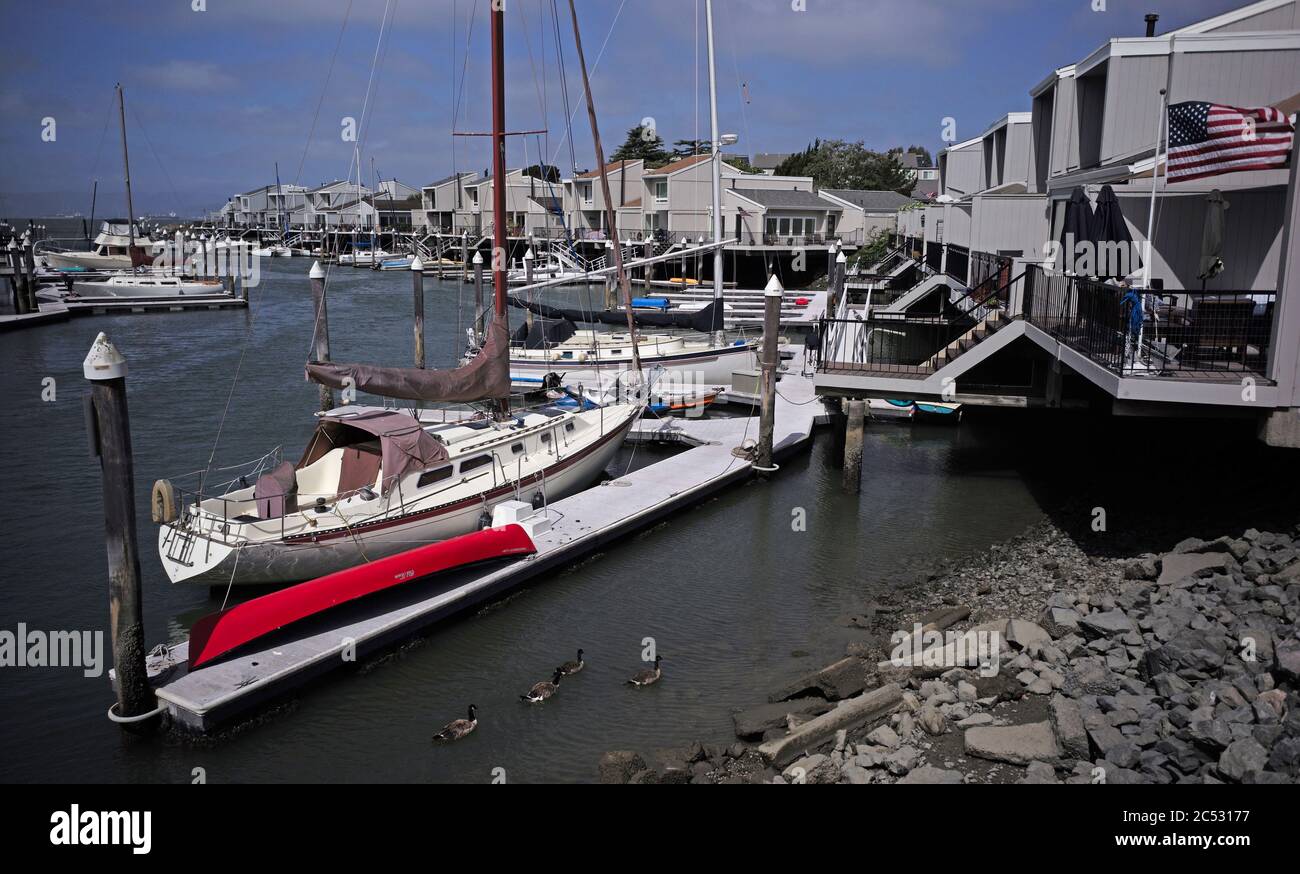 Boote dockten an Häusern am Wasser in Ballena Bay, Alameda, Kalifornien. Stockfoto