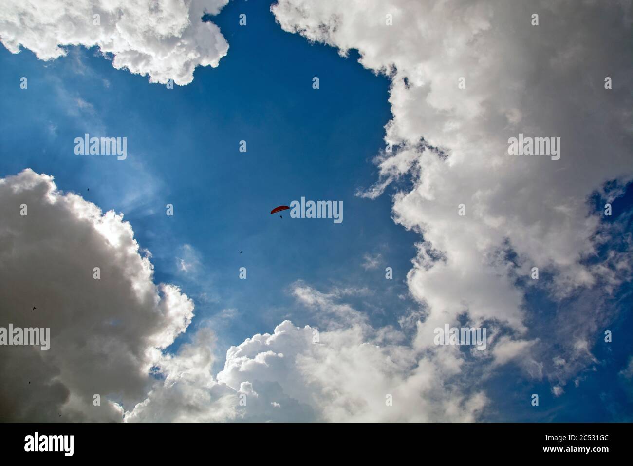 Ein eineingleisiger Gleitschirmsportler, der hoch in den Wolken mit Vögeln fliegt. Stockfoto