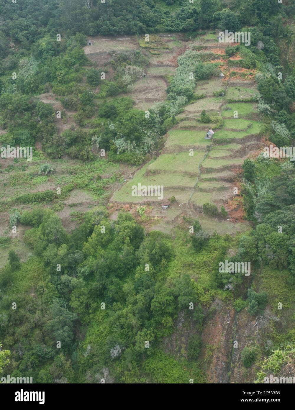 Madeira Insel im Atlantischen Ozean Stockfoto