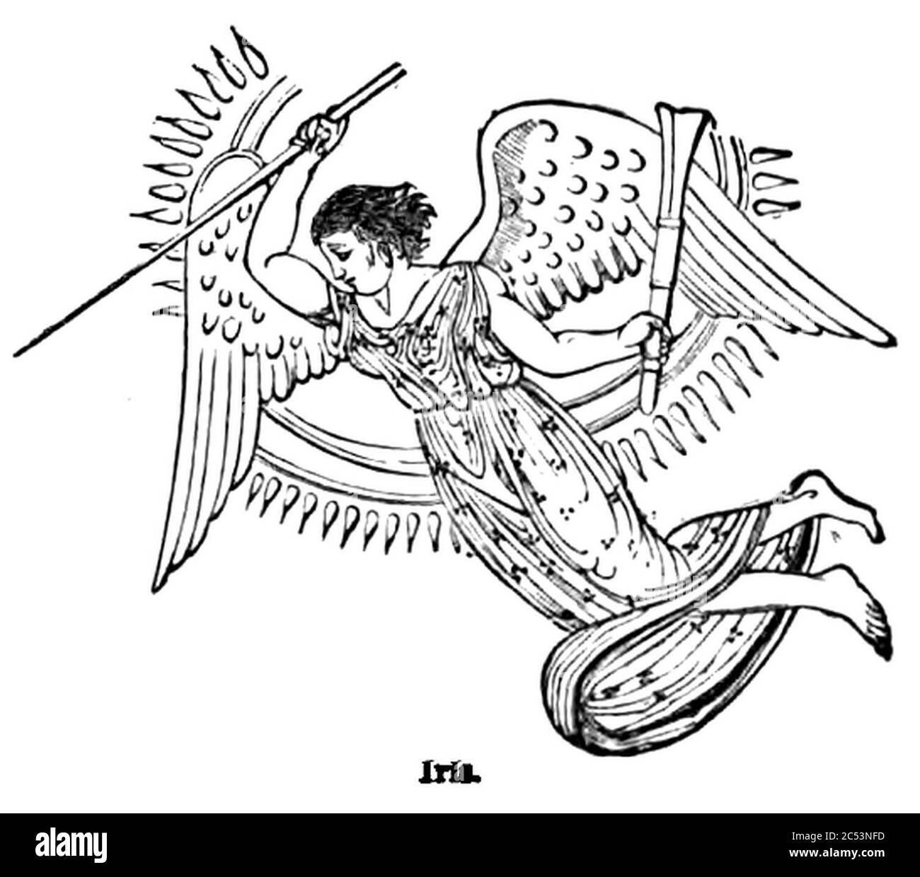 Iris. - Gravuren auf Holz. Stockfoto