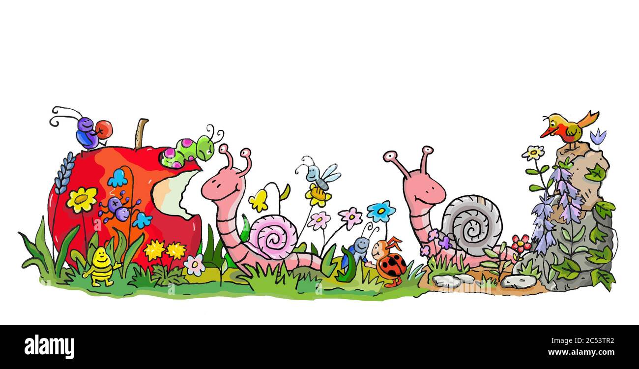 Schnecke, Insekten, Natur, Tiere, Ökologie, Natur, Naturschutz, Biotop, Biodiversität, Umwelt, Schutz, Wiese Stockfoto