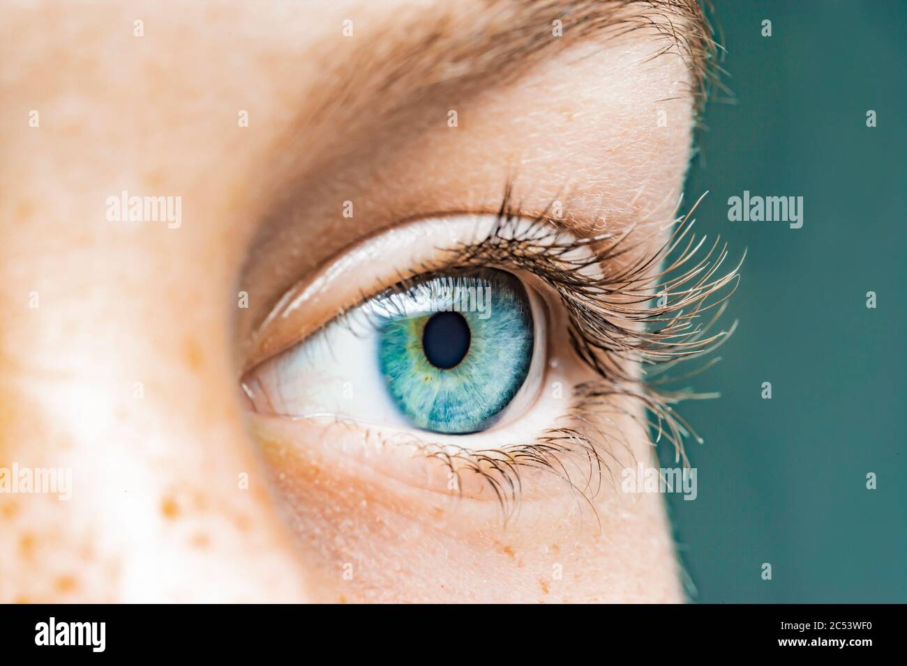 Nahaufnahme eines weiblichen Auges mit blauer Iris Stockfoto