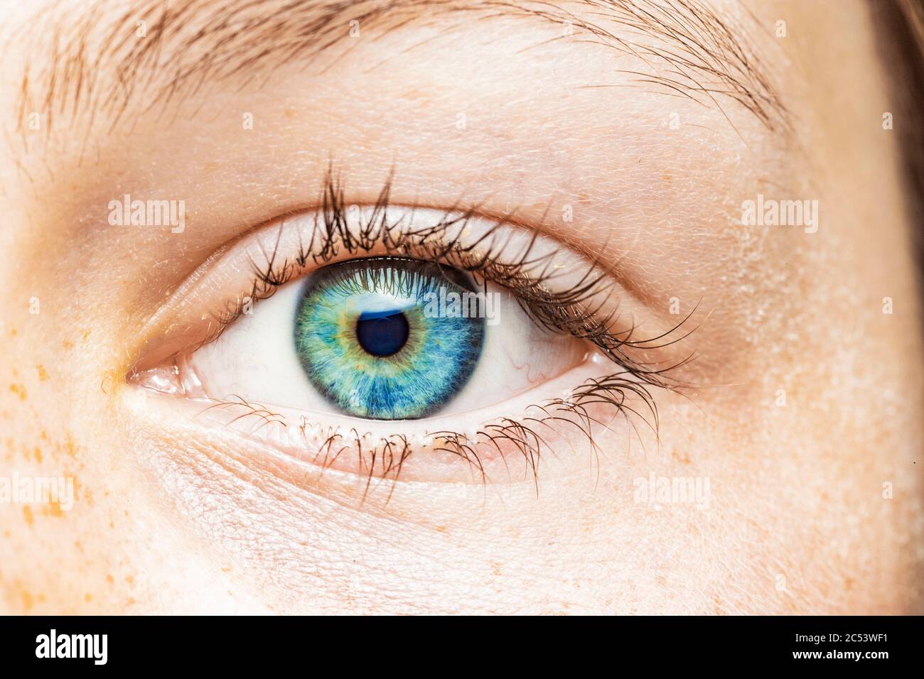 Nahaufnahme eines weiblichen Auges mit blauer Iris Stockfoto