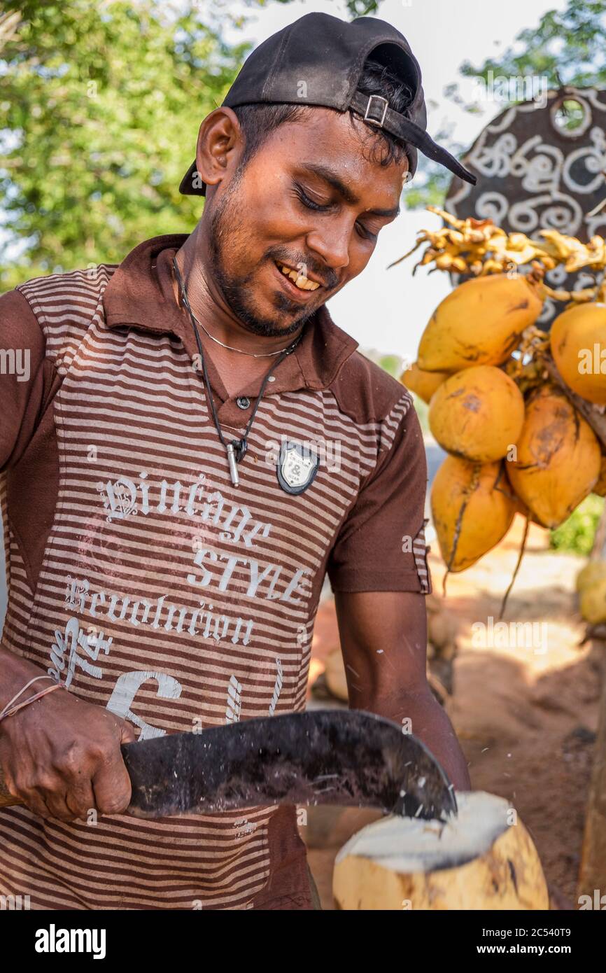 Kokosnuss-Verkäufer mit Machete auf dem Weg in Sri Lanka Stockfoto