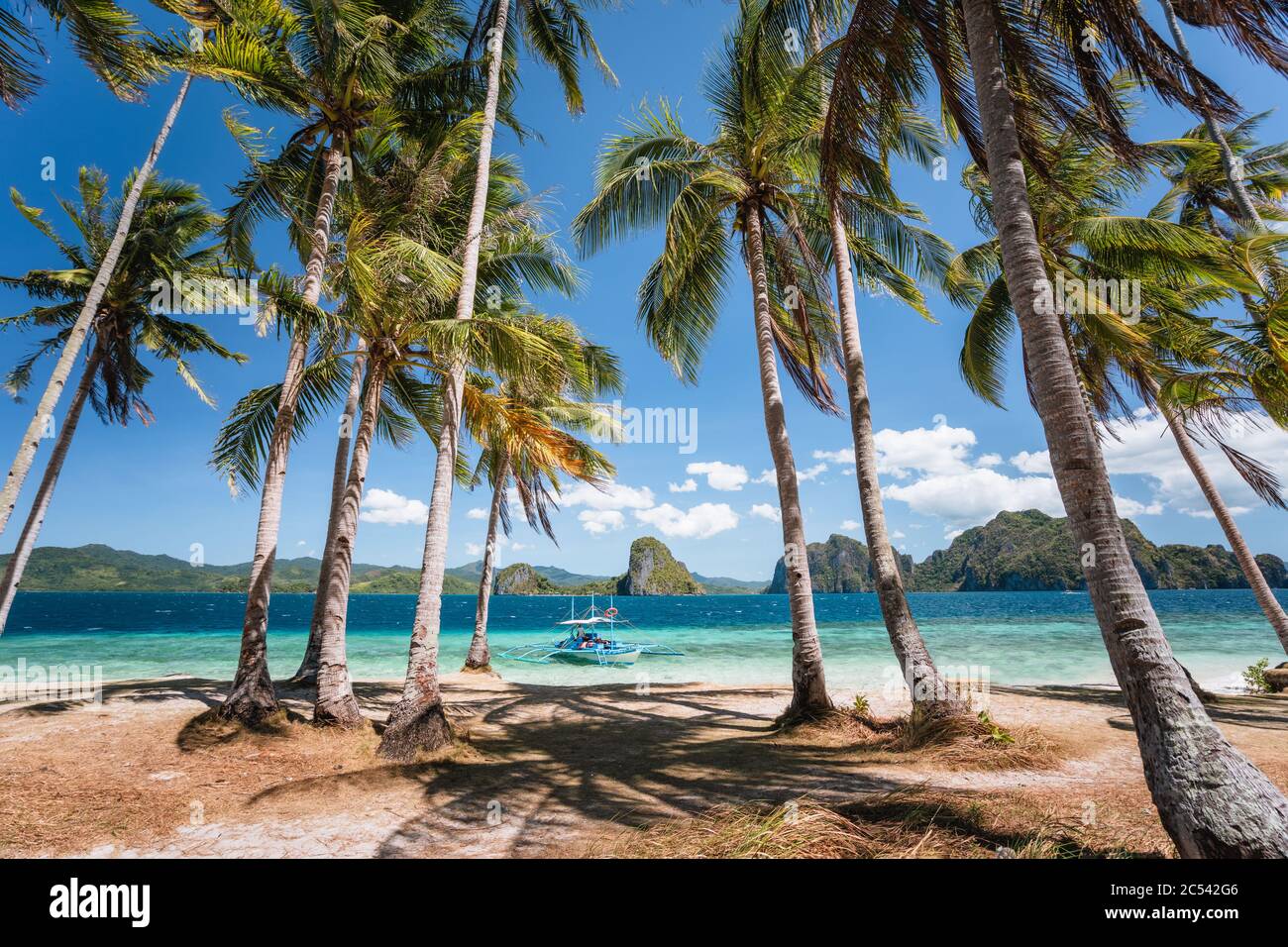 El Nido, Palawan, Philippinen. Palmen am Strand, Touristenboot filippino banca in der türkisfarbenen Lagune des Ozeans. Insel-Hopping-Tour mit wunderschönem T Stockfoto