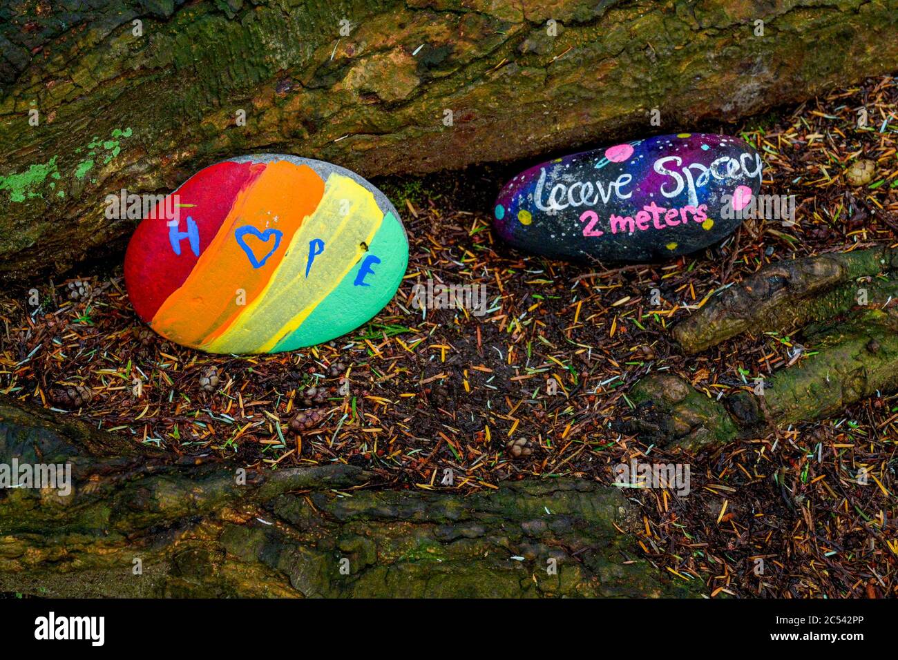 Covid 19 era, Painted Rocks with messages, Lynn Valley, British Columbia, Kanada Stockfoto