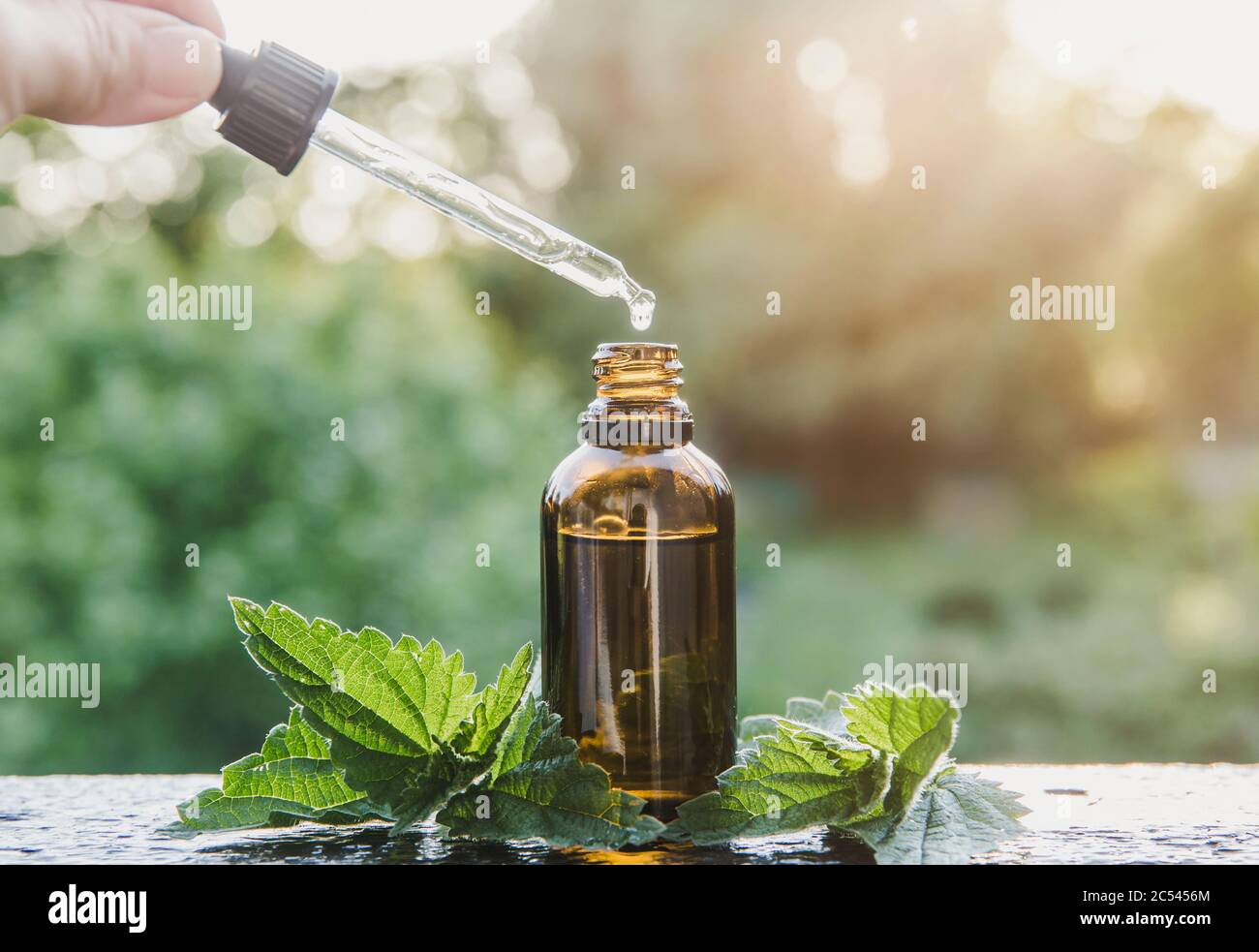 Wilde Bio Urtica dioica, Brennnessel, Brennnessel Tinktur in kleinen braunen Glasflasche im Freien. Frau nimmt Tropfen mit Dropper. Lifestyle . Stockfoto