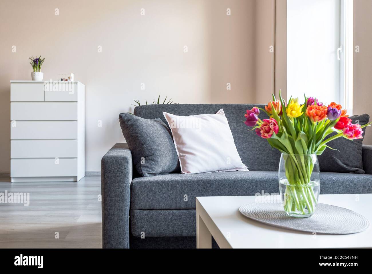 Moderne Büroausstattung mit Sofa und Blumen Stockfoto