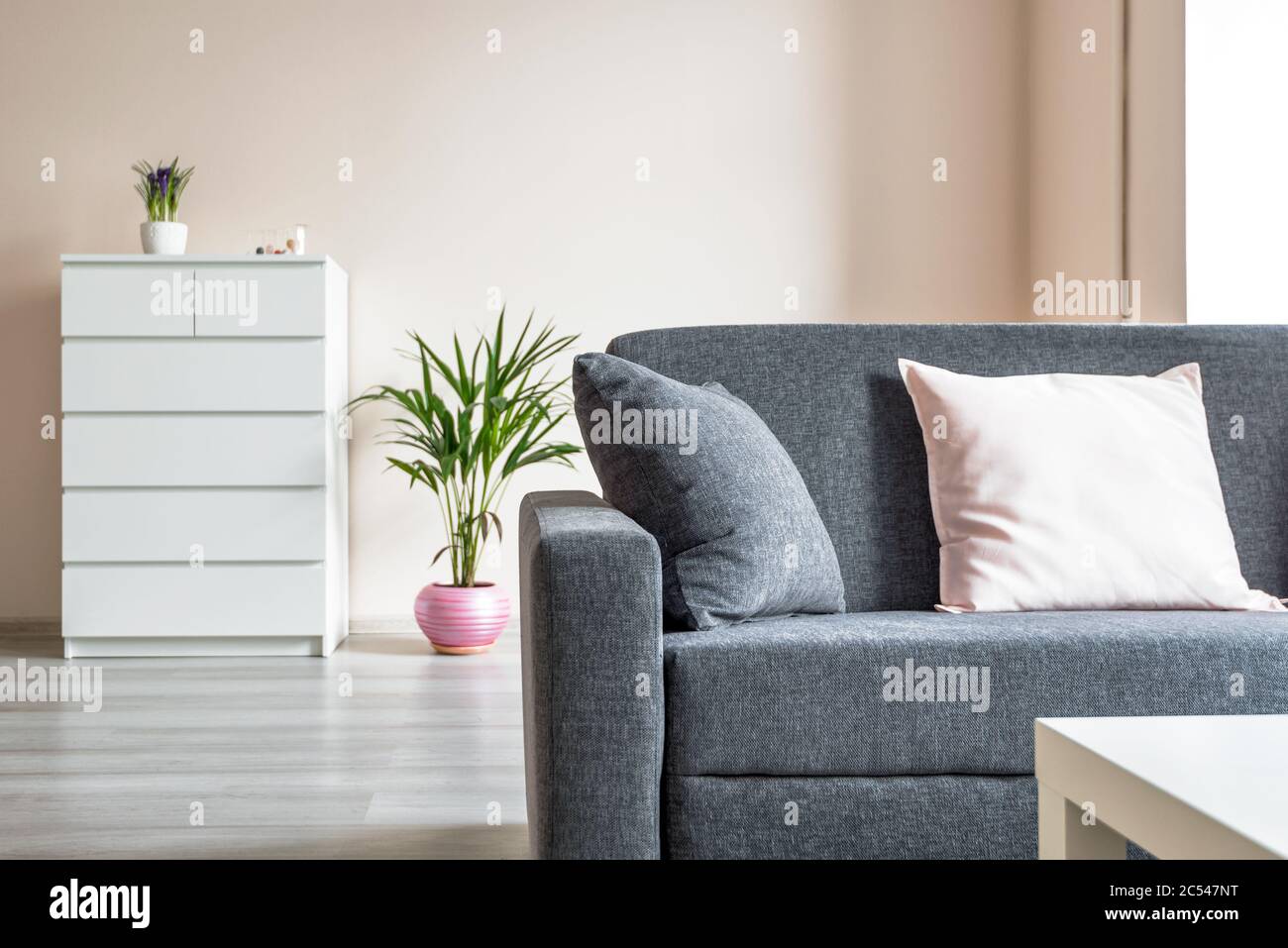 Moderne Büroausstattung mit Sofa und Pflanzen Stockfoto