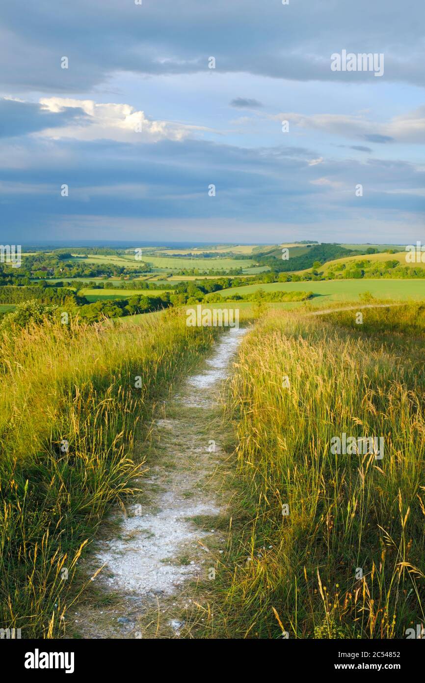 Beacon Hill an der Grenze zwischen Hampshire und Berkshire Stockfoto