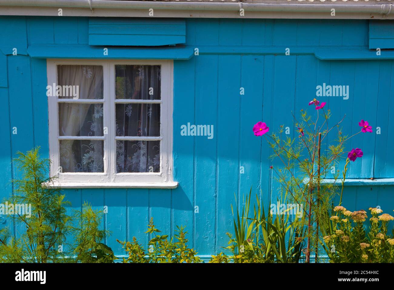 Buntes Haus auf dem Tarka Trail Radweg, in der Nähe von Bideford, North Devon. Stockfoto