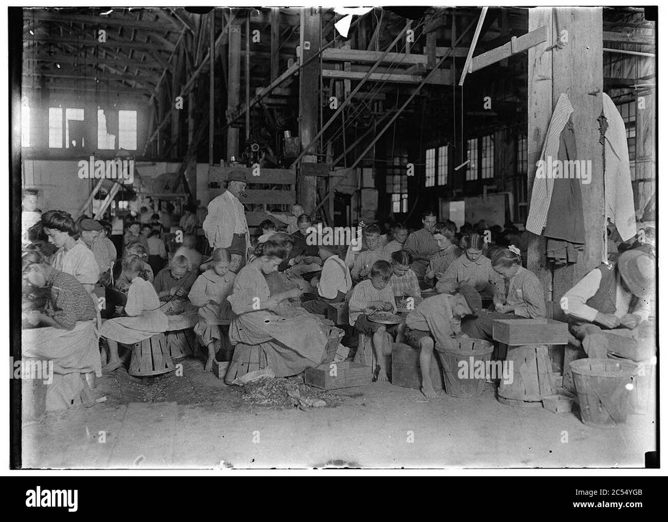 Interieur von J. S. Farrand Packing Company, Baltimore, MD. Viele kleine Arbeiter. Babys werden auf den Schoß der Arbeiter gehalten oder in leeren Kisten verstaut. Stockfoto