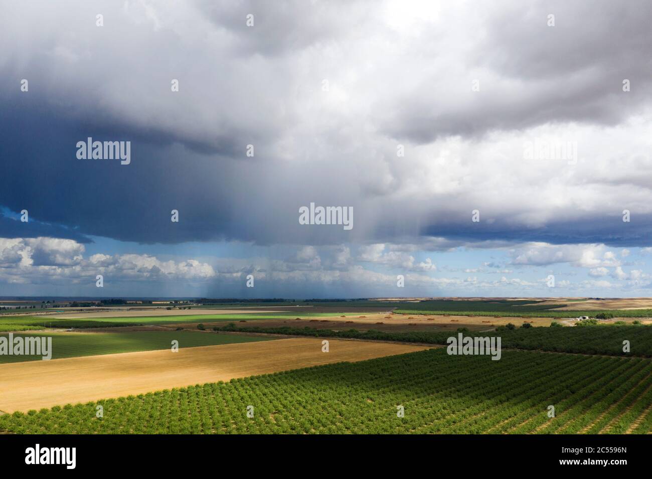 Gewitter über Farmen von Yolo County, Kalifornien im Frühjahr Stockfoto