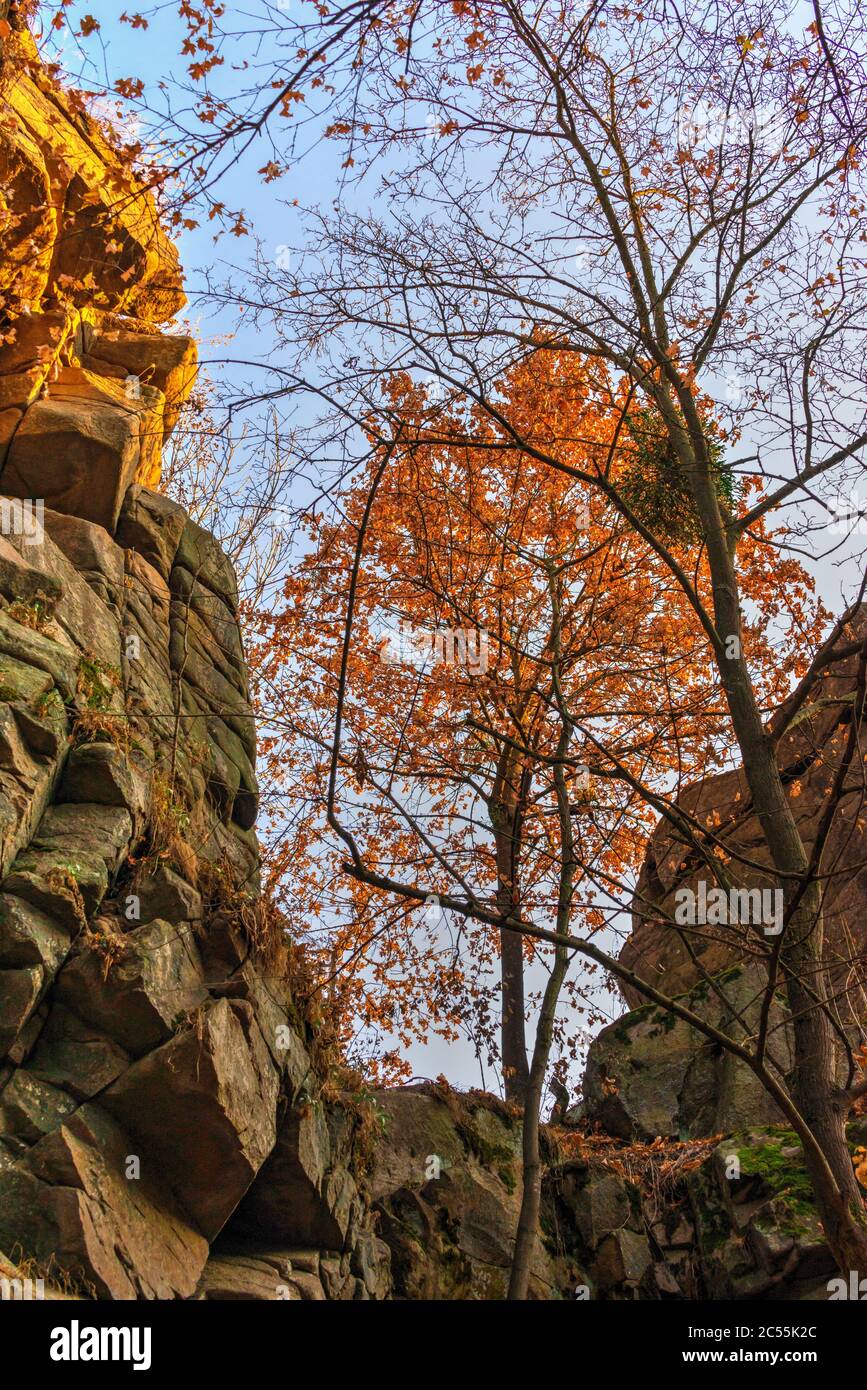 Buky Canyon und Hirskyi Tikych Fluss, eines der Naturwunder der Ukraine, im Herbst Stockfoto