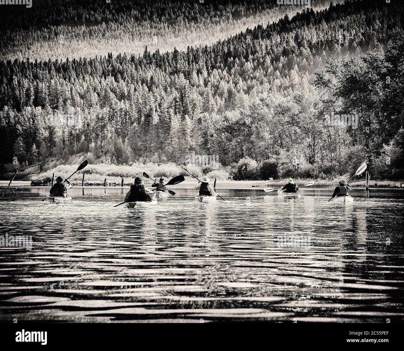 Gruppe von Leuten Kajakfahren auf See Stockfoto