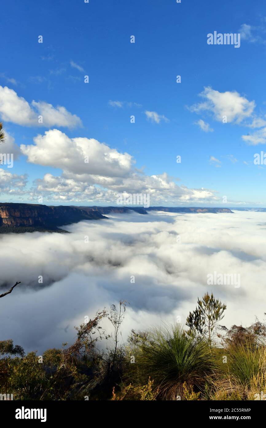 Ein Blick auf Sublime Point in den Blue Mountains, der Nebel im Tal zeigt Stockfoto