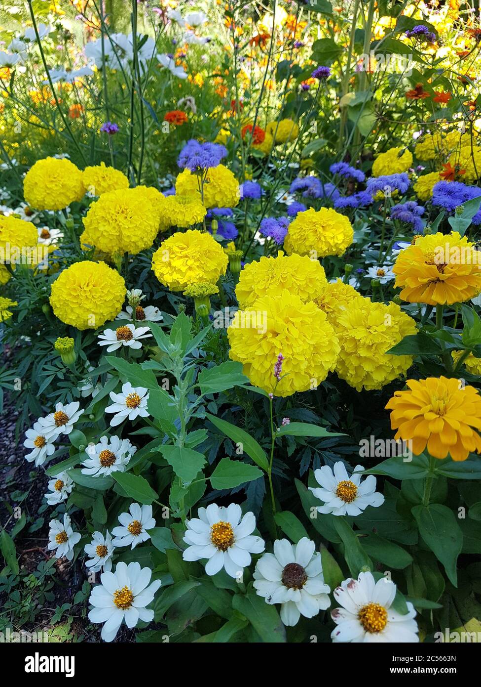 Bunte Blumenbeet Stockfoto