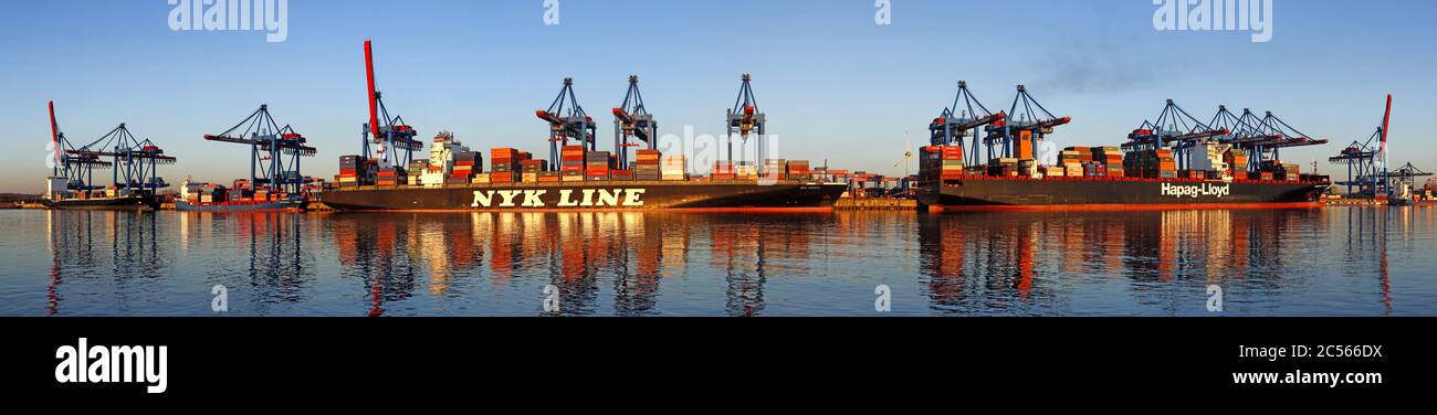 Altenwerder Containerterminal, Hamburger Hafen, Hamburg, Deutschland Stockfoto