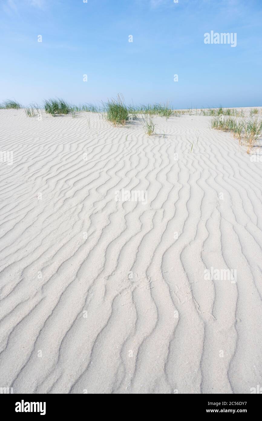 Deutschland, Niedersachsen, Ostfriesland, Juist, Sandstruktur am Strand. Stockfoto