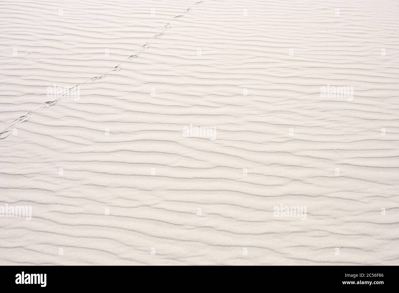 Deutschland, Niedersachsen, Ostfriesland, Juist, Sandstruktur, Spuren im Sand. Stockfoto