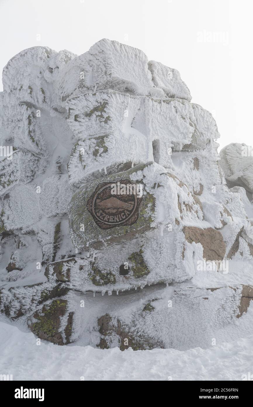 Europa, Polen, Niederschlesien, Riesengebirge, Szrenica / Reifträger Stockfoto