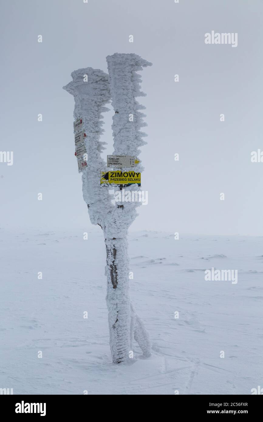 Europa, Polen, Niederschlesien, Riesengebirge Stockfoto