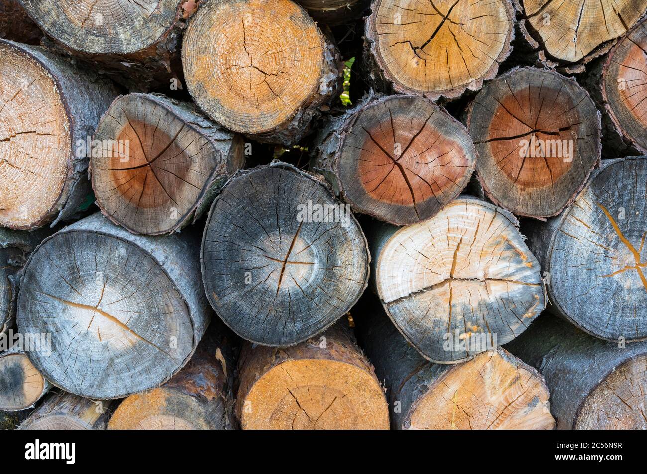 Brennholz-Stapel Stockfoto