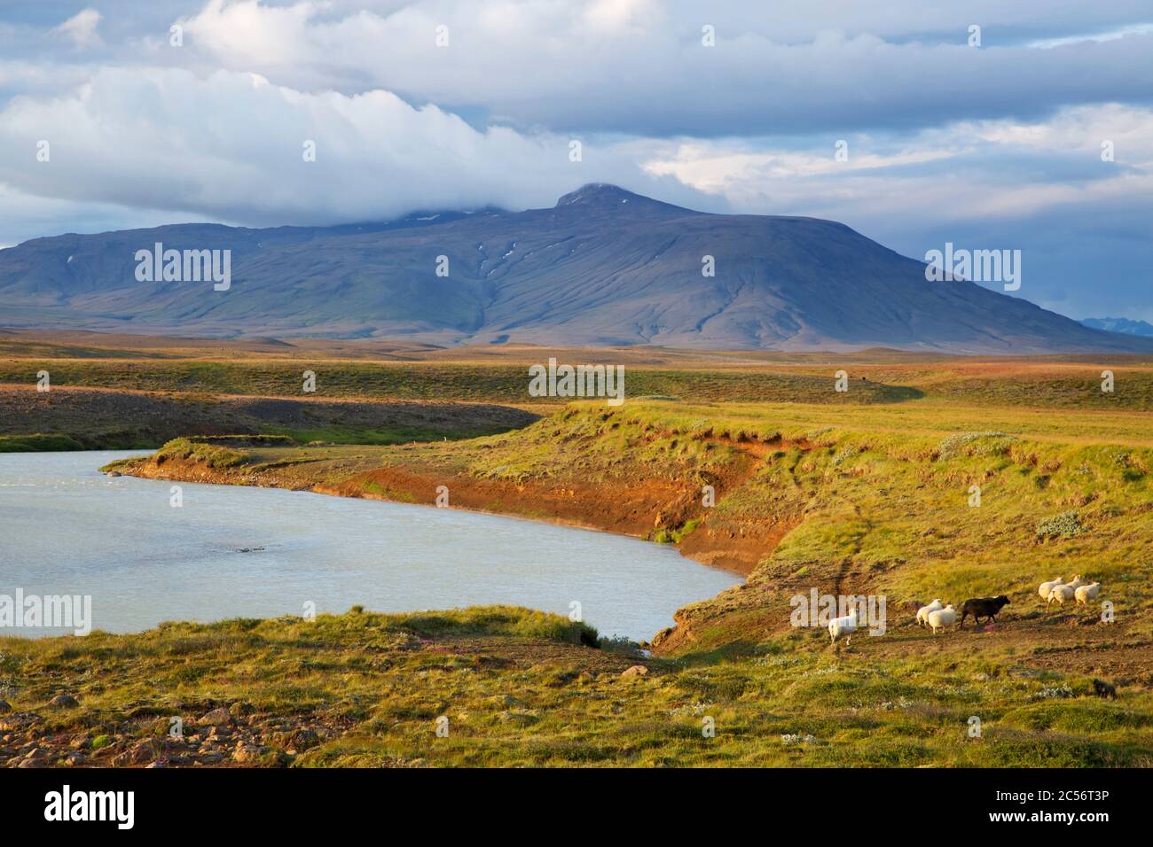 Blick über das Grasplateau und den Fluss Sanda nach Blafell, einem Vulkan, der während der letzten Eiszeit unter dem Eis aktiv war. Stockfoto