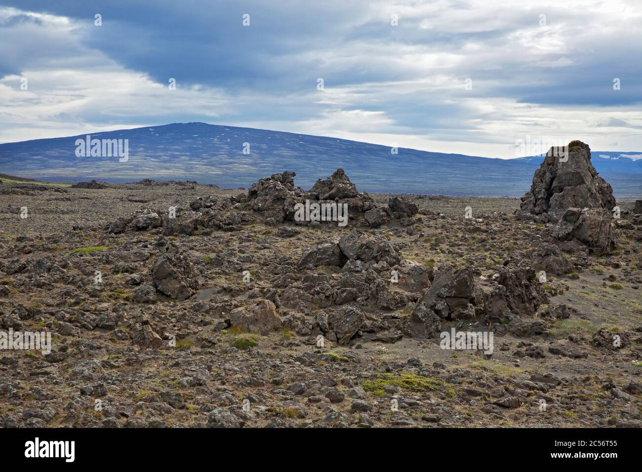Blick über die Lavafelder der Blaskogaheidi auf den 1066m hohen Schildvulkan Skjaldbreidur. Stockfoto